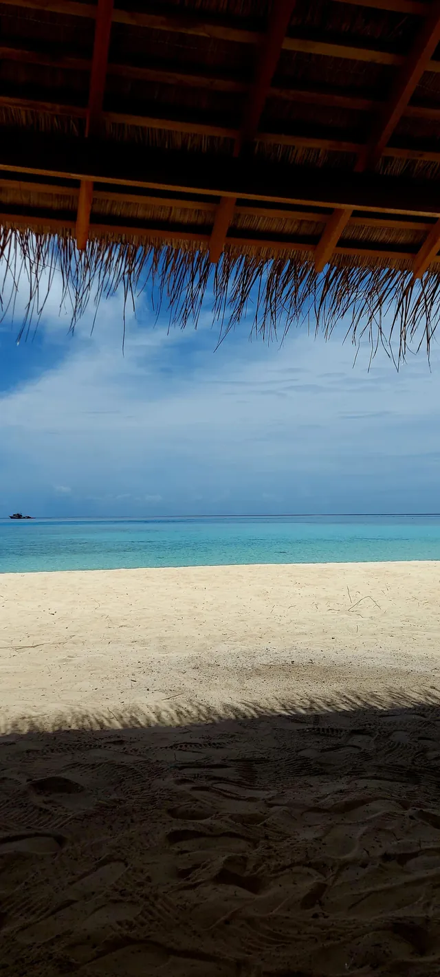 Bikini Beach