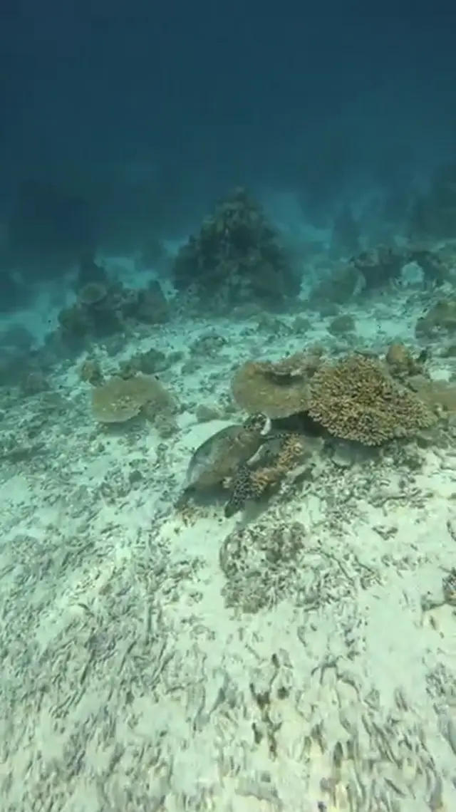 Escursioni nell'atollo — video