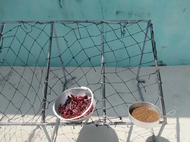 Keyodhoo — l'isola