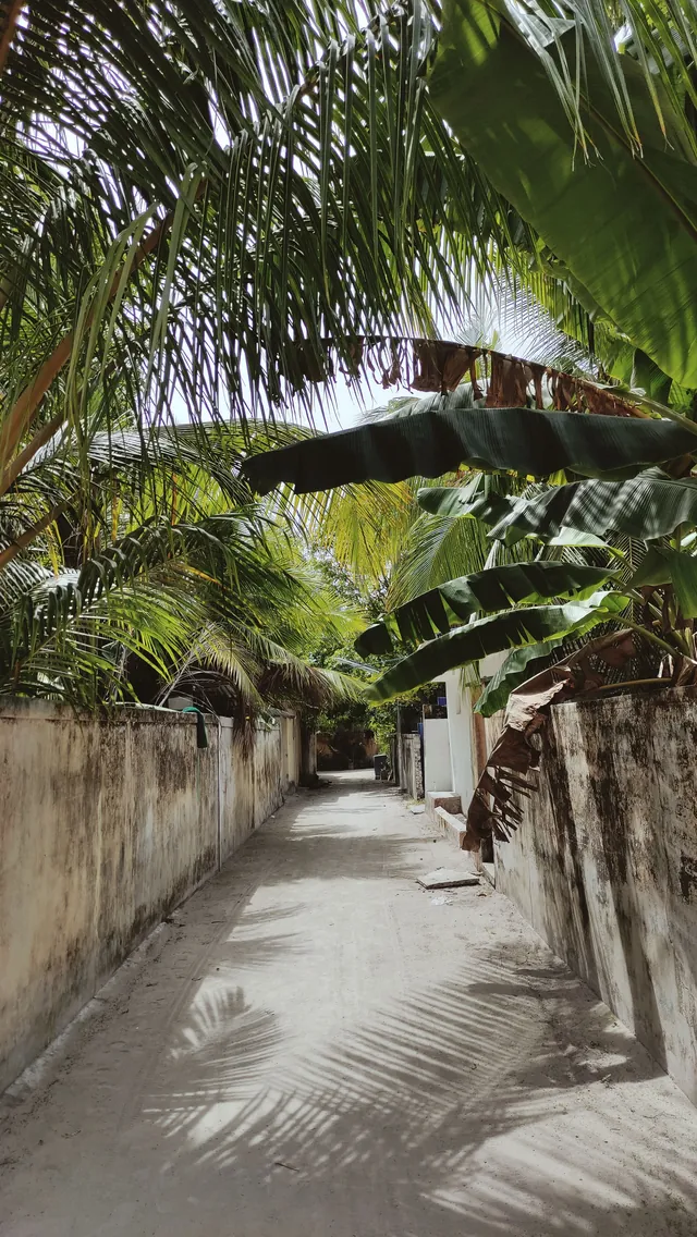 Keyodhoo — l'isola