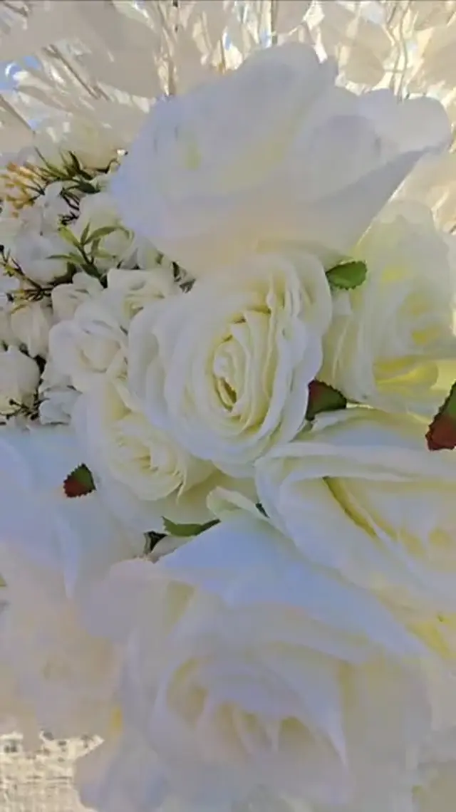 Matrimoni alle Maldive — video