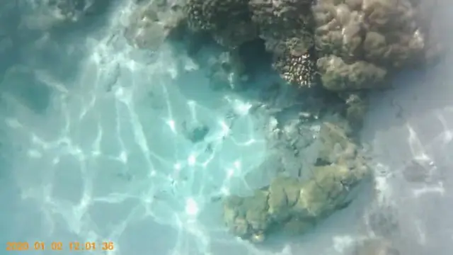 Keyodhoo — video