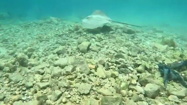 Keyodhoo — video