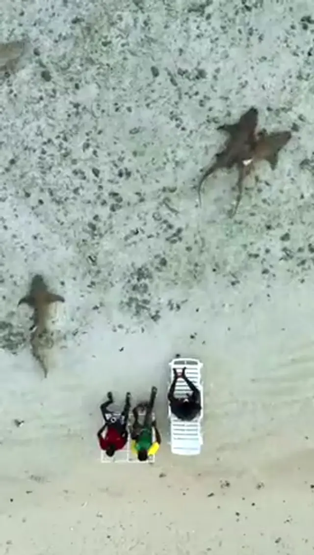 Keyodhoo — video