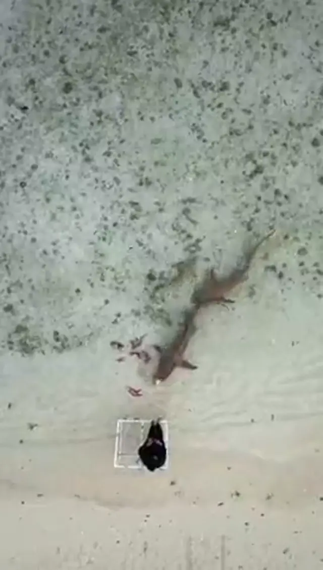 Keyodhoo — video