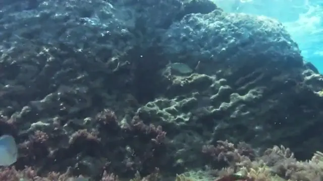 Keyodhoo — video