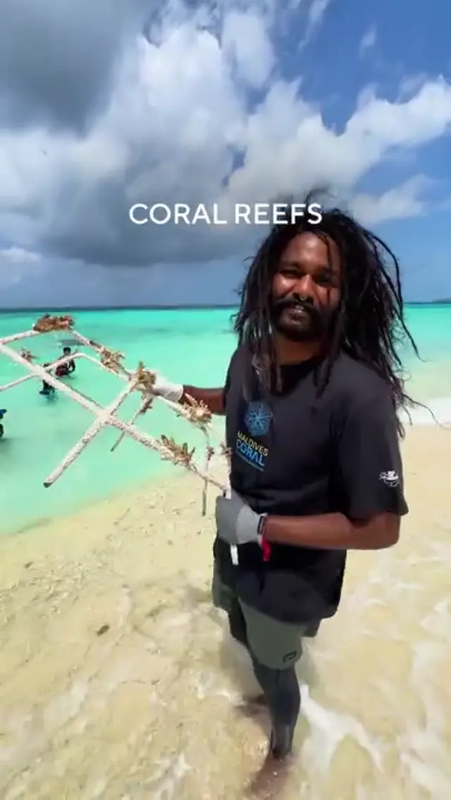 Trapianto di coralli con Save The Beach Maldives